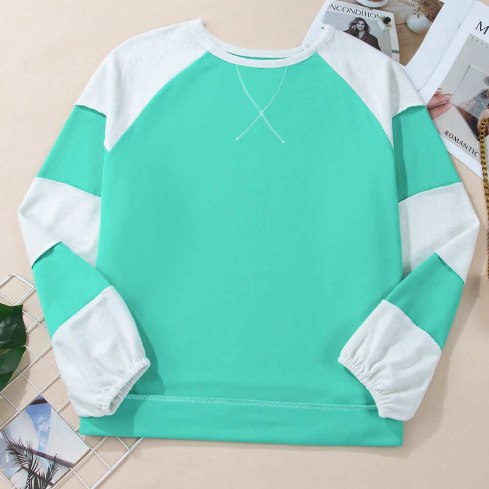 
                      
                        Aruba Blue Colorblock Patchwork Cross Seam Plus Sweatshirt
                      
                    